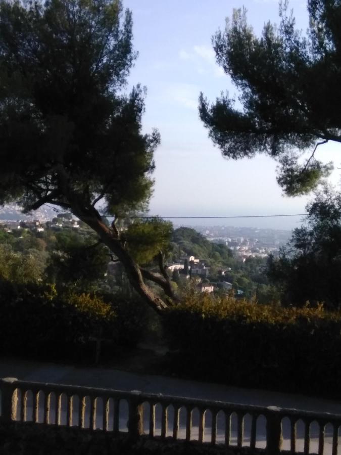 Appartamento Nice- Gairaut - Jardin Prive- Grand F1 Lumineux-piscine Collective *